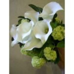 Demarco-Perpich Design Inc